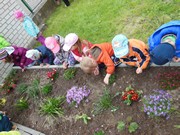 Pečujeme o květinový záhonek